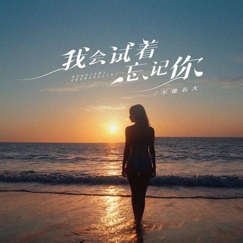 我会试着忘记你