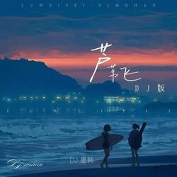芦苇飞