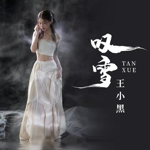 叹雪2.0（奏一曲东风破）
