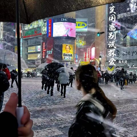 莫用离别试探爱