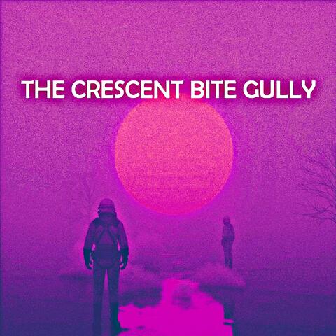 The Crescent Bite Gully