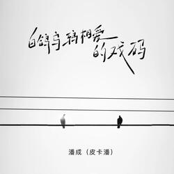 白鸽乌鸦相爱的戏码