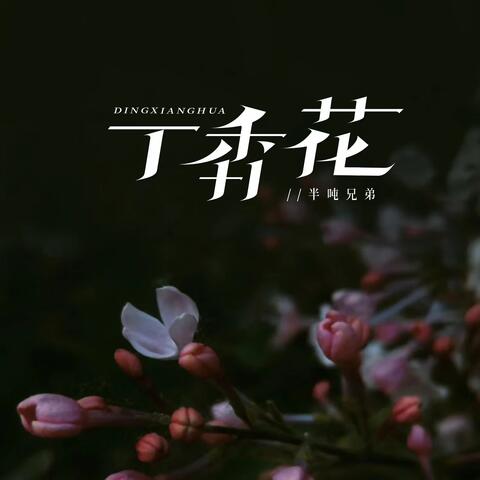丁香花