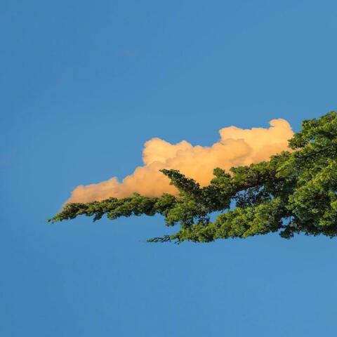 清爽柠檬味汽水