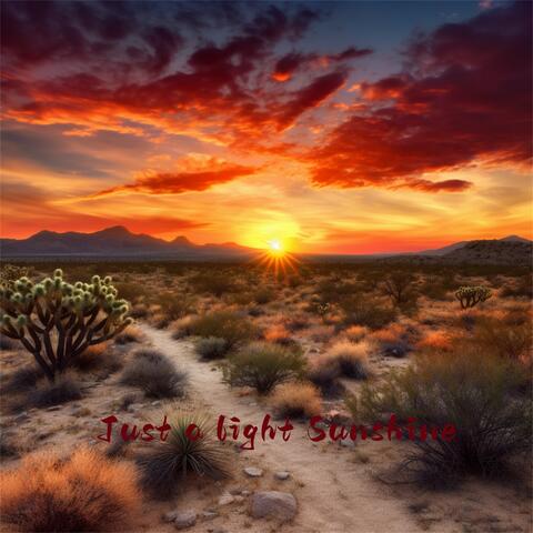 Just A Light Sunshine
