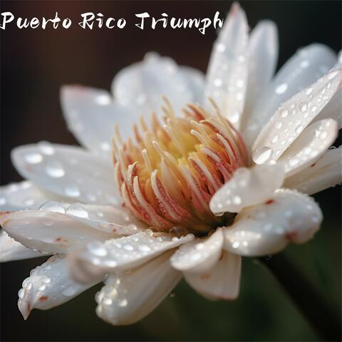 Puerto Rico Triumph