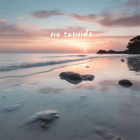 No Sounds