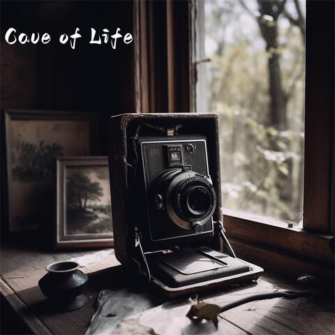 Cave Of Life