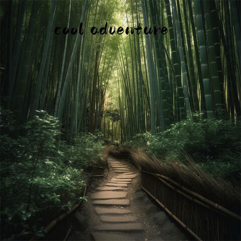Cool Adventure