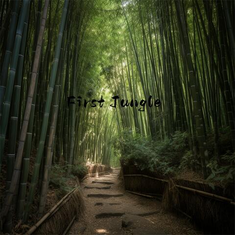 First Jungle