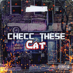 Checc These Cat