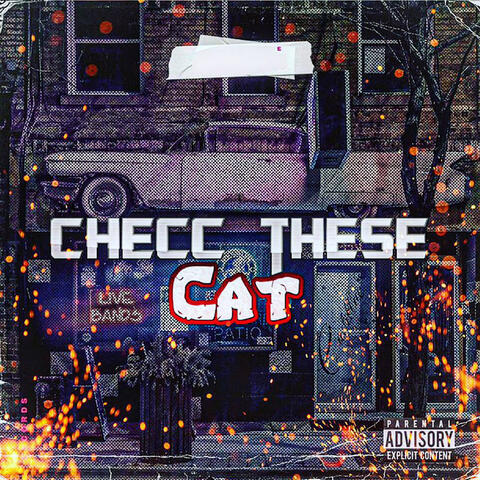 Cheec These Cat