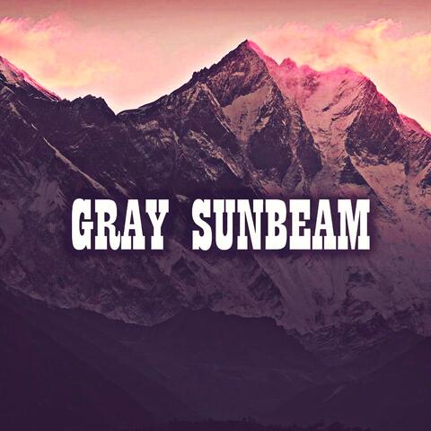 Gray Sunbeam