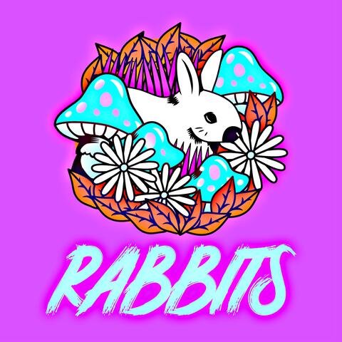 Rabbits