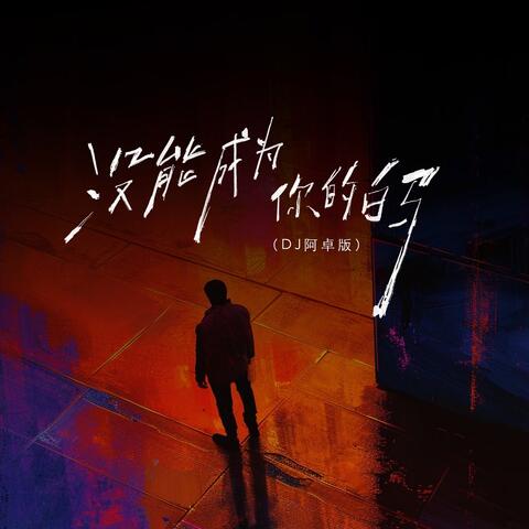 没能成为你的白马