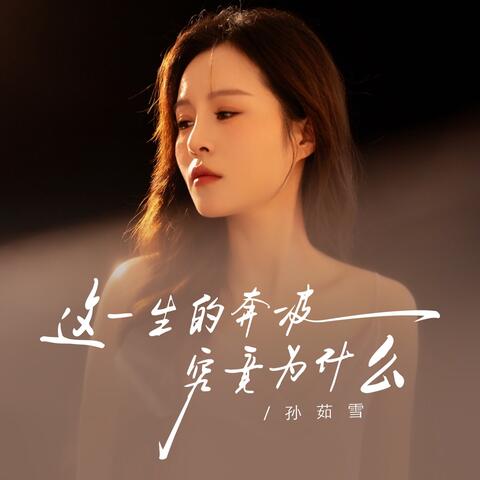 这一生的奔波究竟为什么