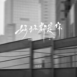 好坏都是你