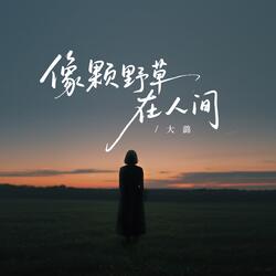 像颗野草在人间
