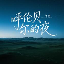 呼伦贝尔的夜