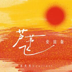 芦苇飞