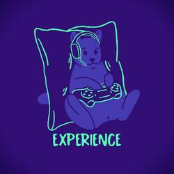 Experience
