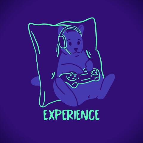 Experience