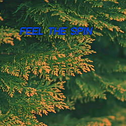 Feel The Spin