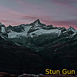 Stun Gun
