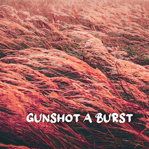 Gunshot A Burst