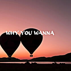 Why You Wanna