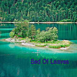 Bed Of Leaves