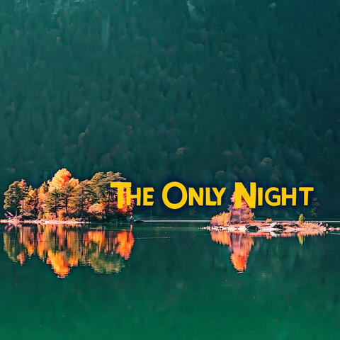 The Only Night