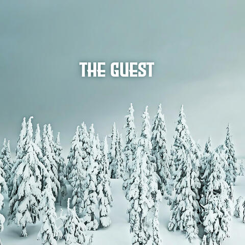 The Guest