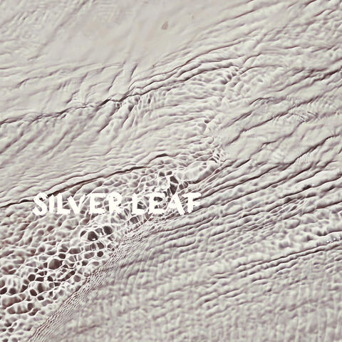 Silver Leaf