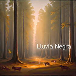 Lluvia Negra