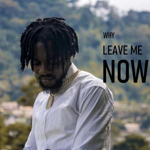 Why Leave Me Now