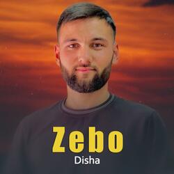Zebo