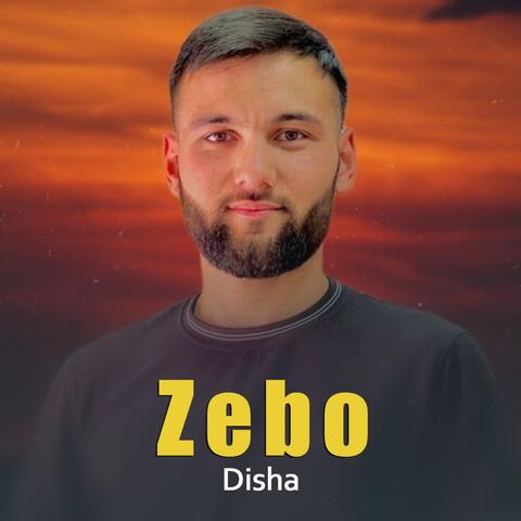 Zebo