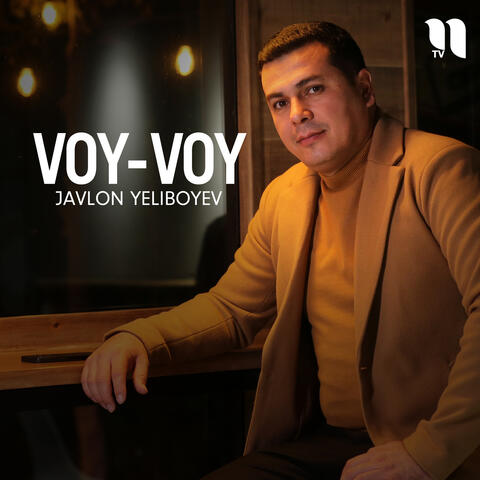 Voy-voy