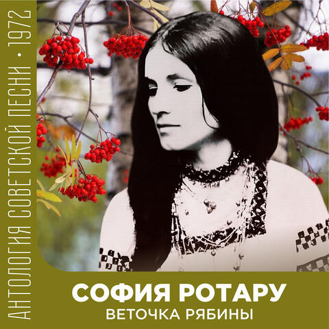 Веточка рябины