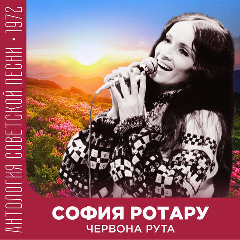 Червона рута