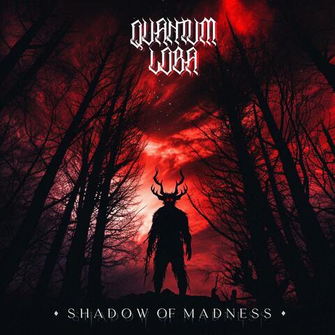 Shadow Of Madness