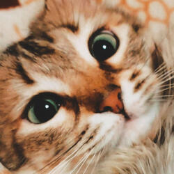 sing me a lullaby