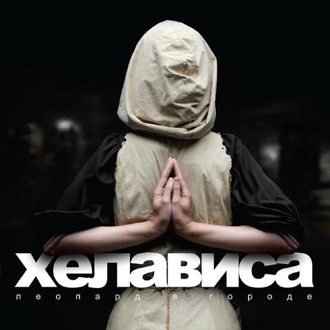 Леопард в городе