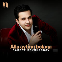 Alla ayting bolaga
