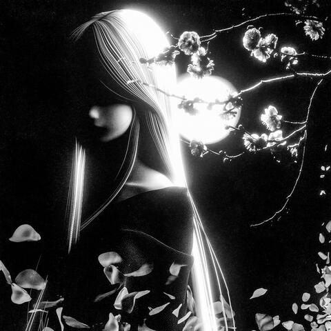 Антарктика