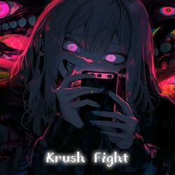 Krush Fight