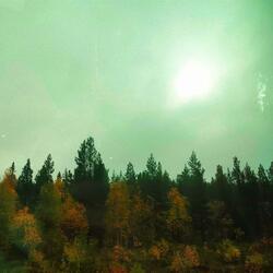 Light through the darkness