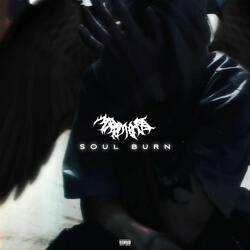 SOUL BURN