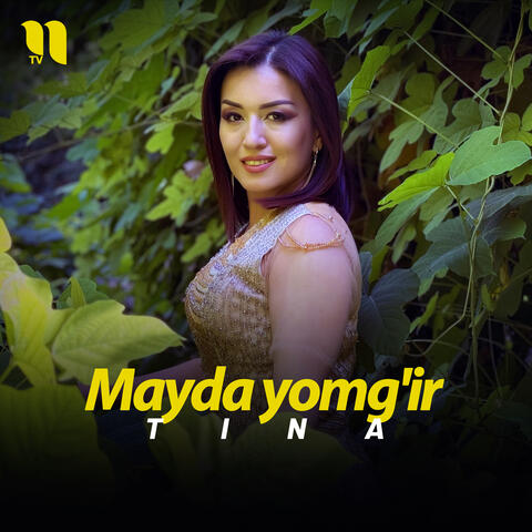 Mayda yomg'ir